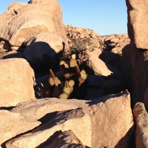 More boulders in Hidden Valley